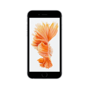 iPhone 6